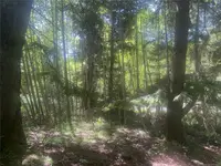 View 21