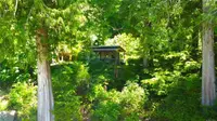 View 36