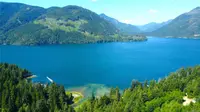 View 40