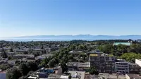 View 53