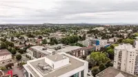 View 44