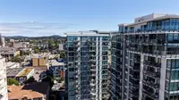 View 50