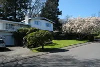 View 52