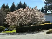 View 64