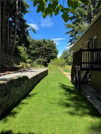 View 49