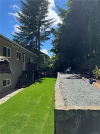 View 50