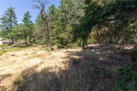 View 42