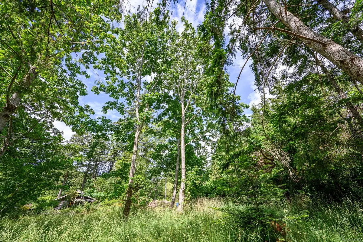 4920 Kirk Rd, Hornby Island BC V0R 1Z0