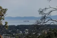 View 45