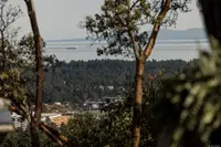 View 50