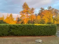 View 77