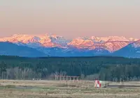 View 75