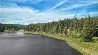 View 43
