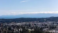 View 11