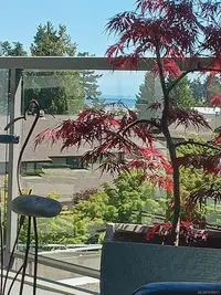 View 12