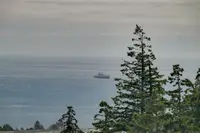 View 71