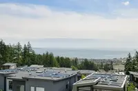 View 37