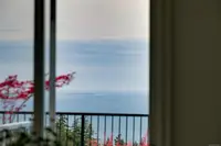 View 44