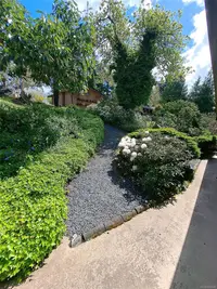 View 27