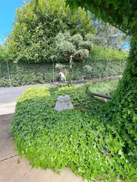 View 22