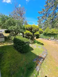 View 35