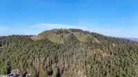 View 47