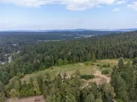 View 38