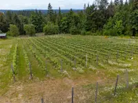 View 31