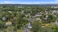 View 61