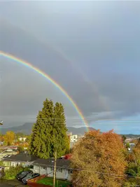View 36