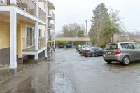 View 41