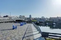 View 18