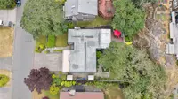 View 41