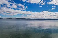 View 65