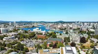 View 56