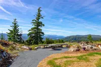 View 50