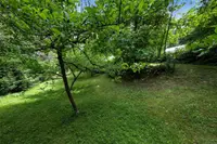 View 55