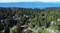 View 31
