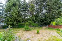 View 34