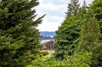 View 29
