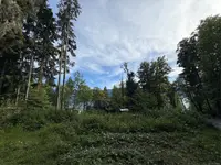 View 16