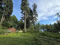 View 15