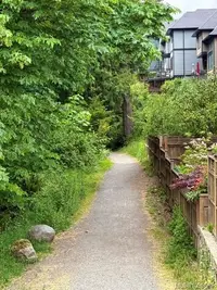 View 37