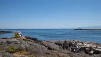 View 34