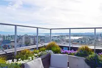 View 31