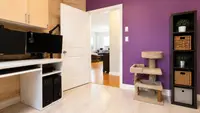 View 24