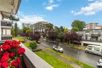 View 27