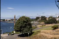View 10