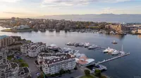 View 37
