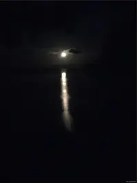 View 88